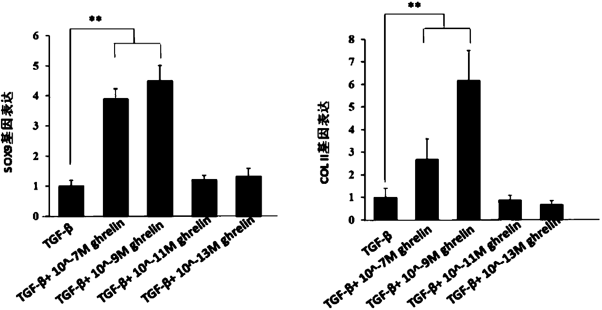 Ghrelin active agent for inducing stem cells differentiated to cartilage cells