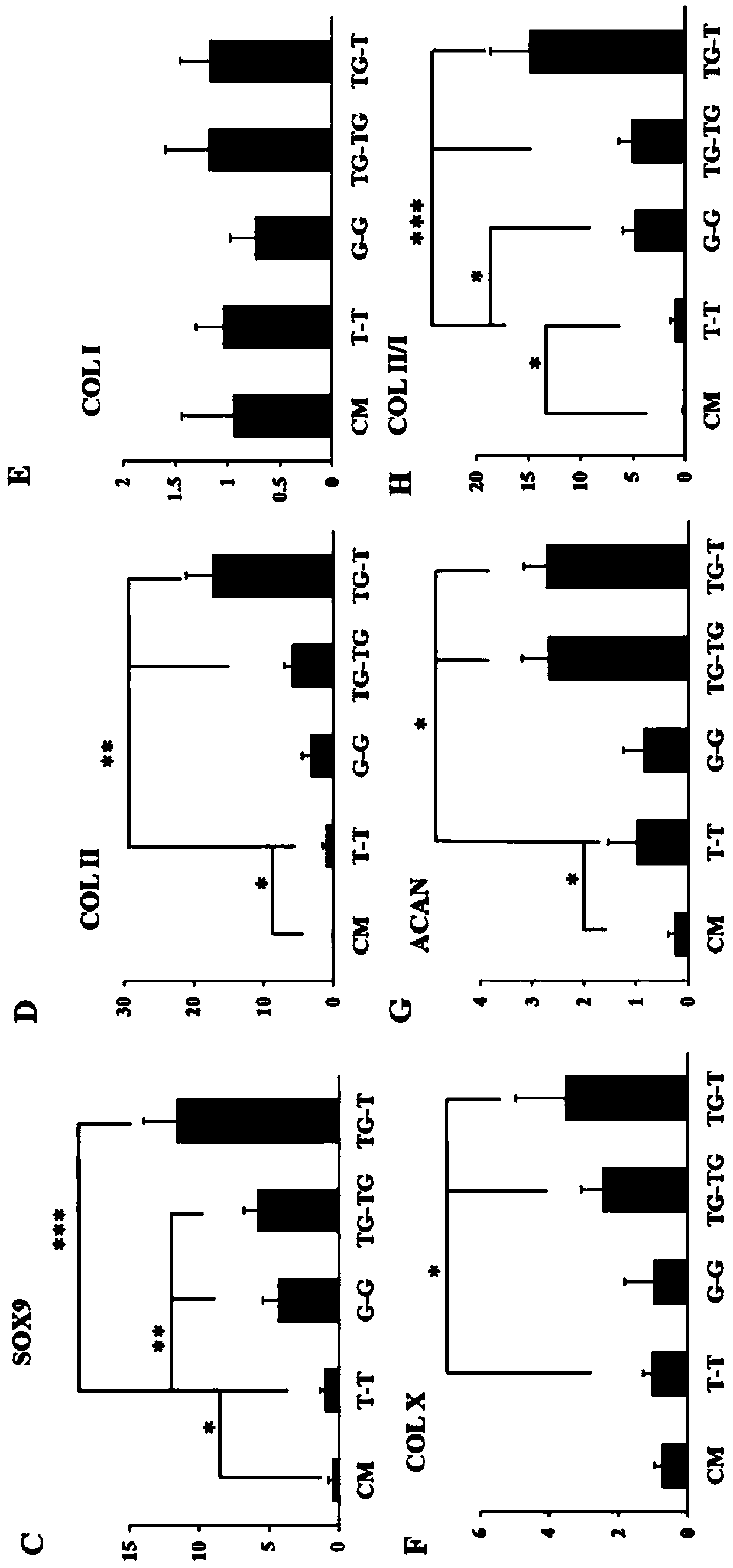 Ghrelin active agent for inducing stem cells differentiated to cartilage cells