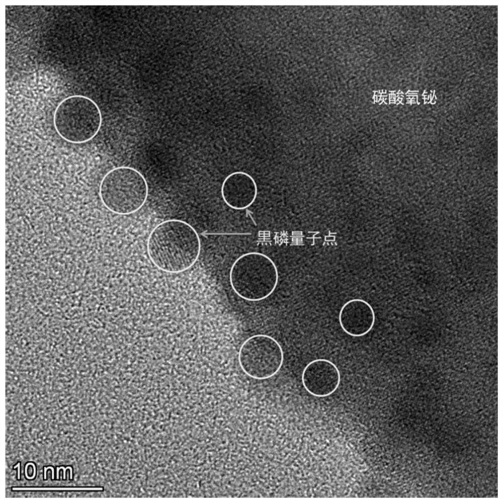 Oxygen-rich vacancy type black phosphorus quantum dot/bismuth oxycarbonate visible light catalyst and preparation method and application