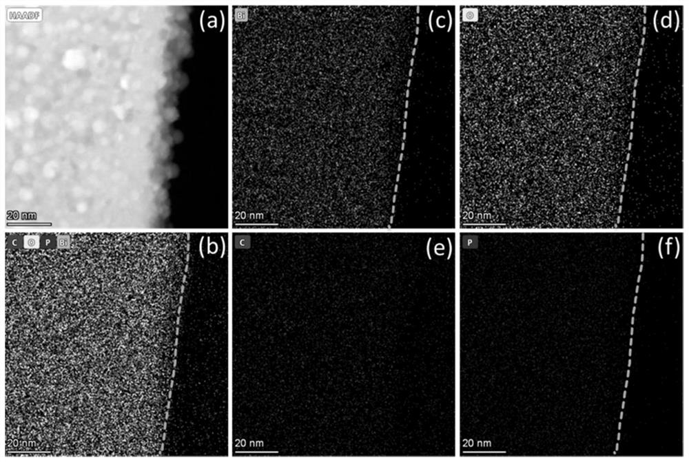 Oxygen-rich vacancy type black phosphorus quantum dot/bismuth oxycarbonate visible light catalyst and preparation method and application