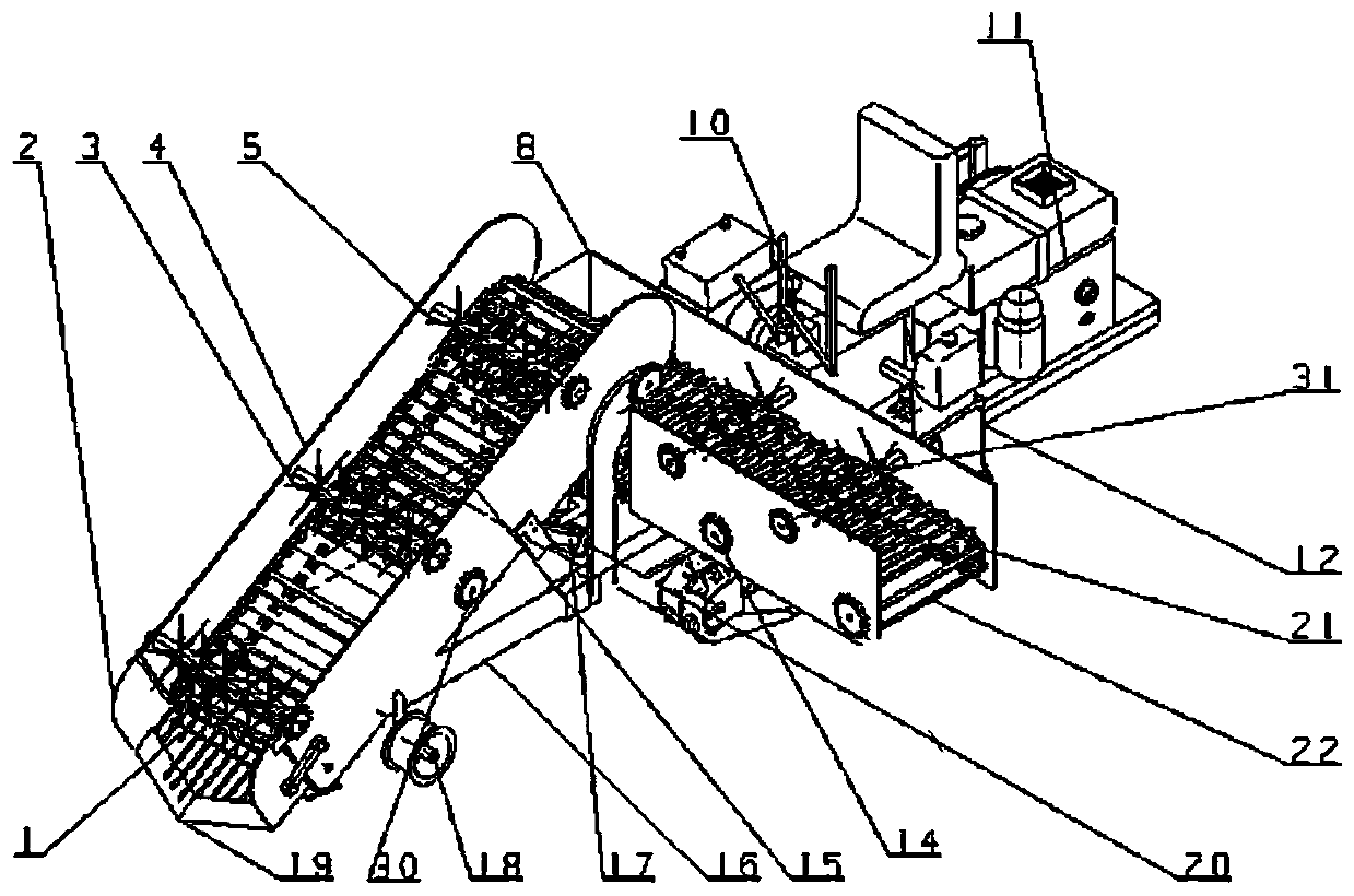 Small self-propelled full-width seedling lifting harvester