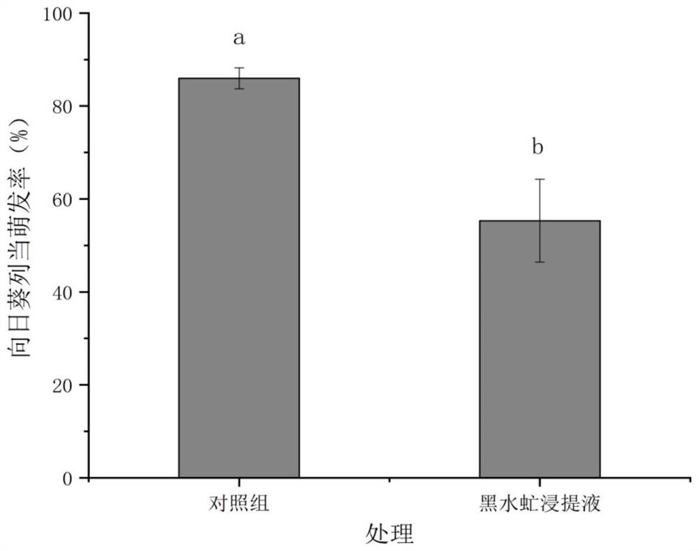 Frass organic fertilizer for restraining broomrape, and preparation method and usage thereof