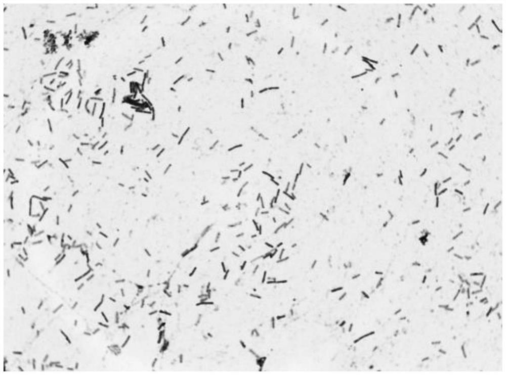 Bacillus subtilis and application thereof in fermentation treatment of flaxseed cake detoxification