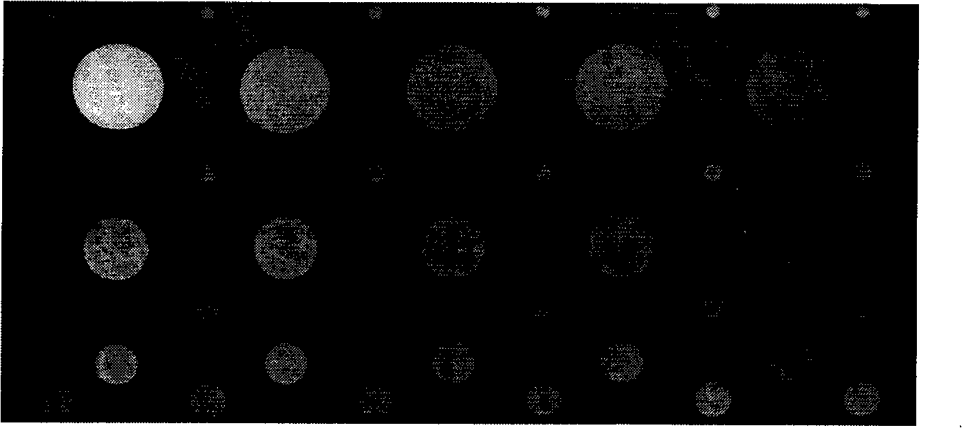 Method for measuring defect thickness in carbon/silicon carbide composite material