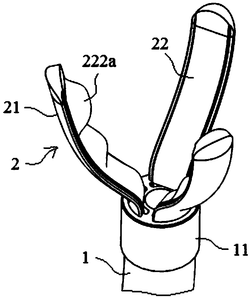 Heart assistant device