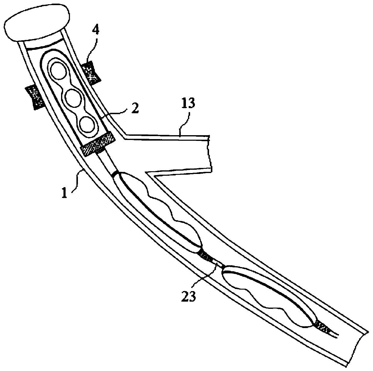 Heart assistant device