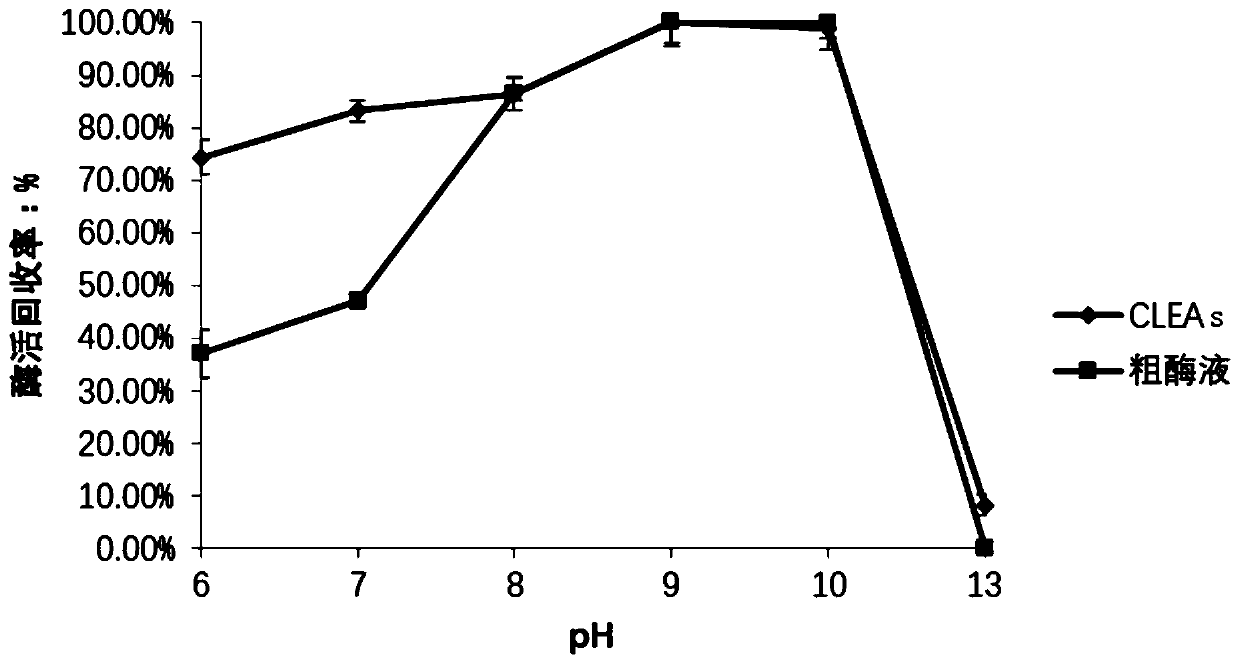 Method for catalyzing synthesis of atazanavir intermediate by carbonyl reductase CLEAs