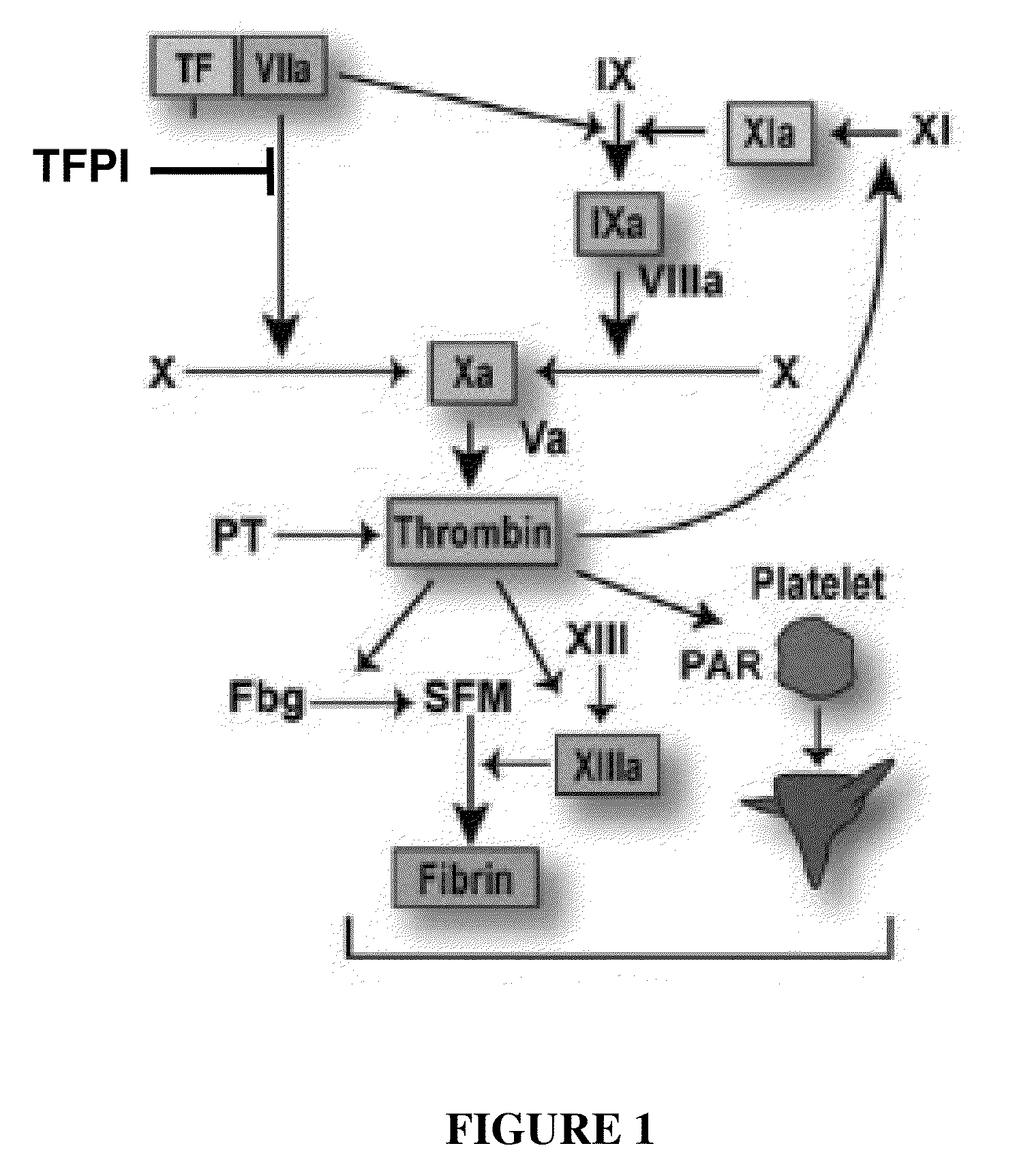 TFPI inhibitors and methods of use