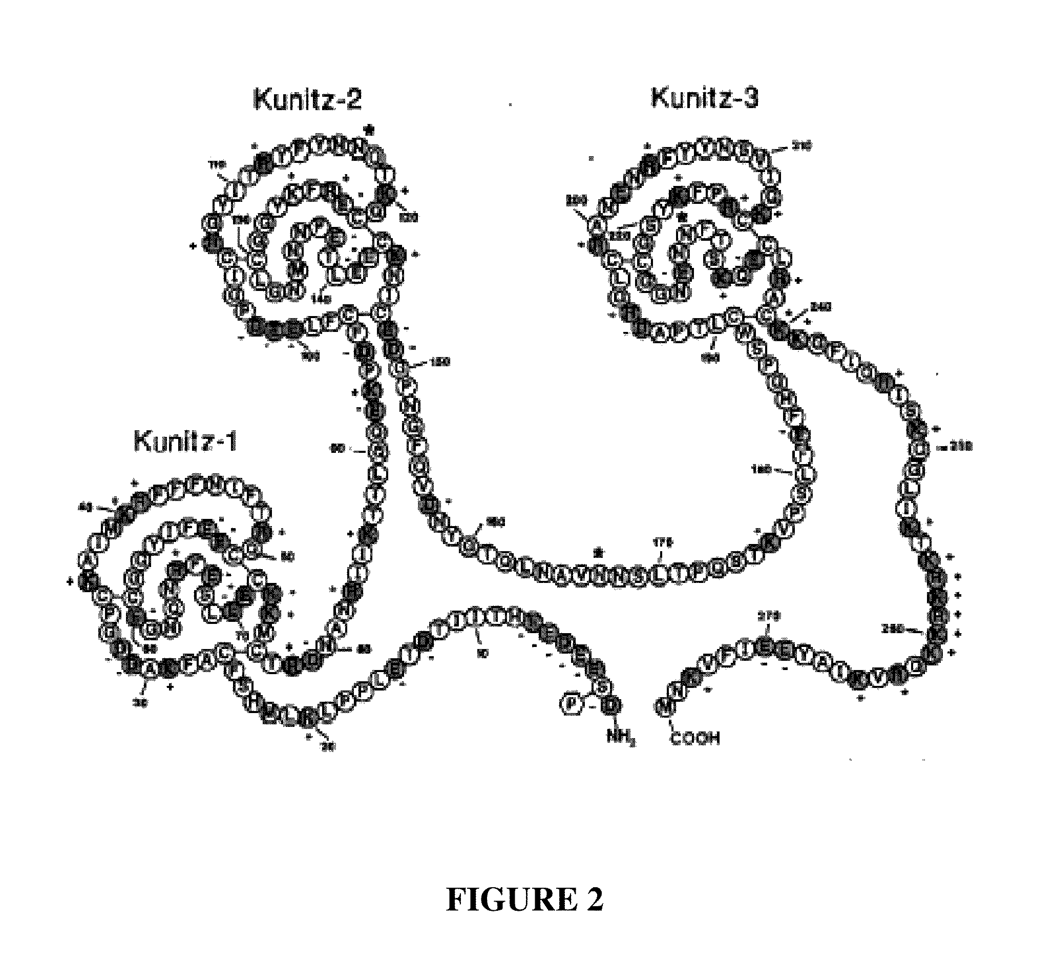 TFPI inhibitors and methods of use