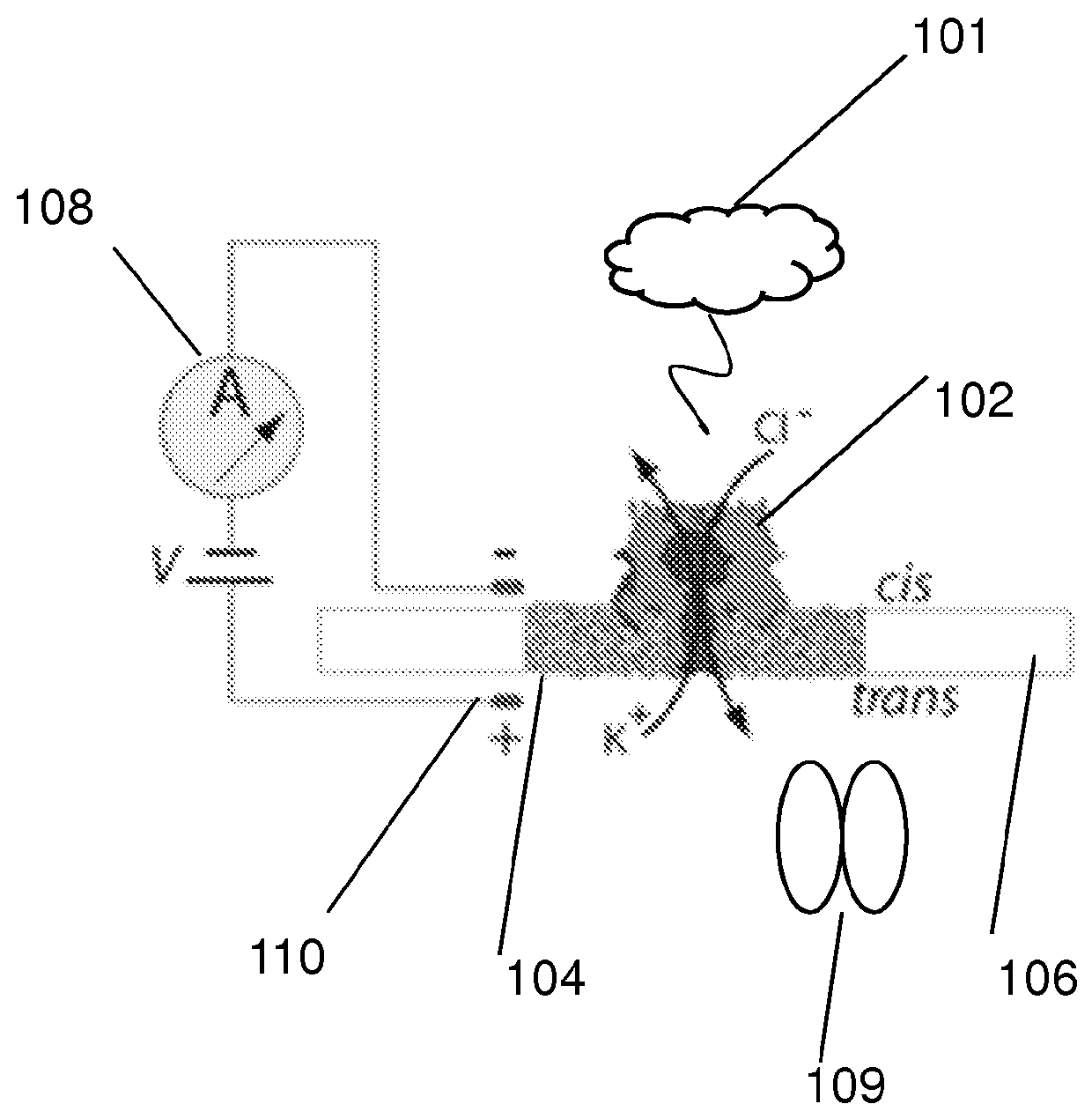 Nanopore sensor for enzyme-mediated protein translocation