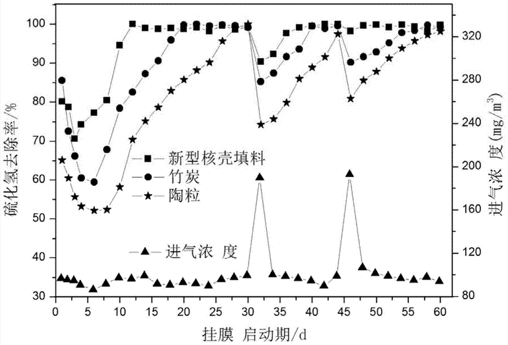 A kind of core-shell structure biofiller and preparation method thereof