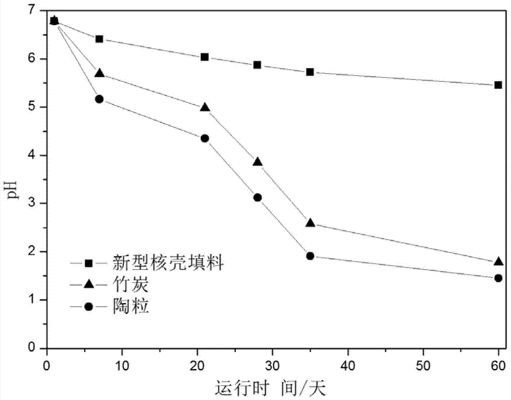 A kind of core-shell structure biofiller and preparation method thereof