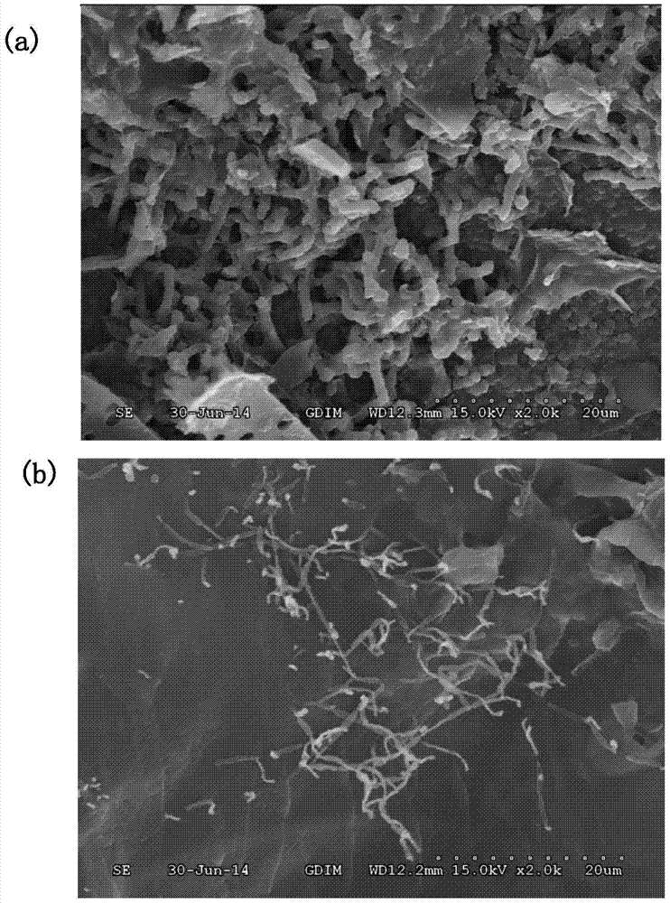 A kind of core-shell structure biofiller and preparation method thereof