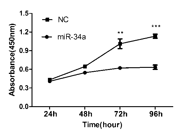 Application of miR-34a gene in non-small cell lung cancer