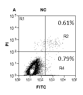 Application of miR-34a gene in non-small cell lung cancer