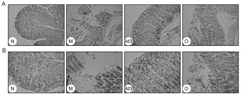 Application of acetic acid and salt thereof