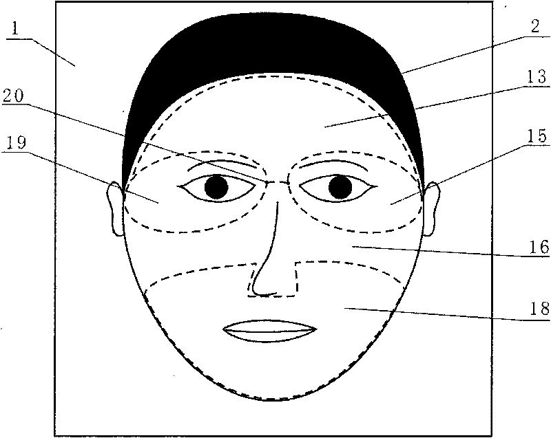 Manufacturing system and manufacturing method of human facial expressions