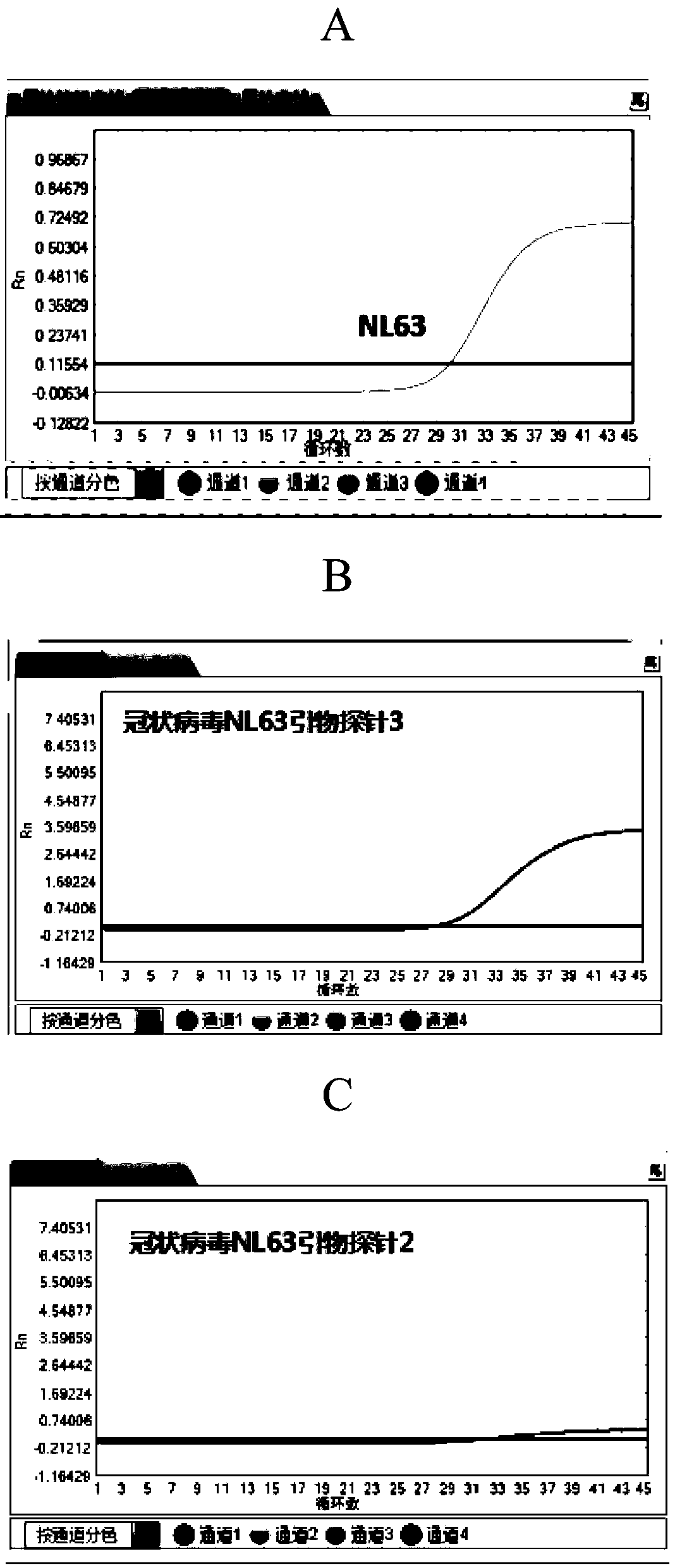 Composition, kit, method and application for detecting and typing coronavirus