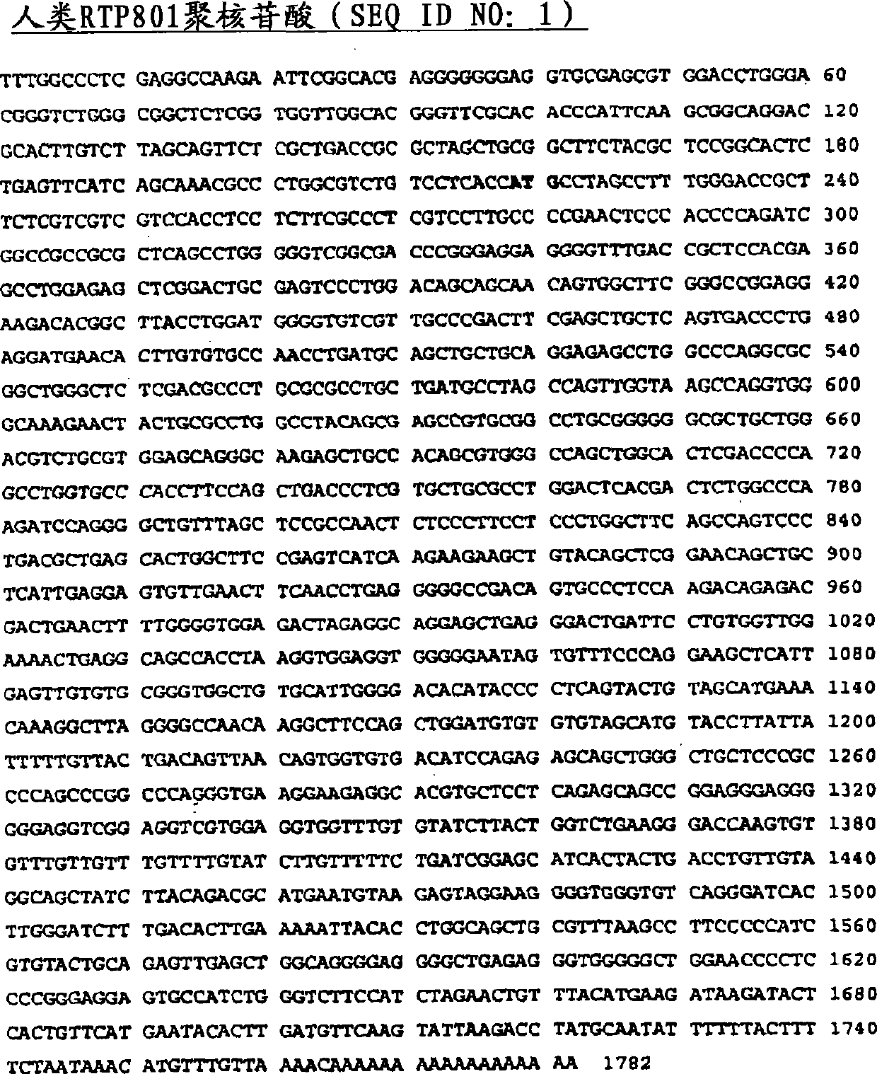 Therapeutic uses of inhibitors of RTP801