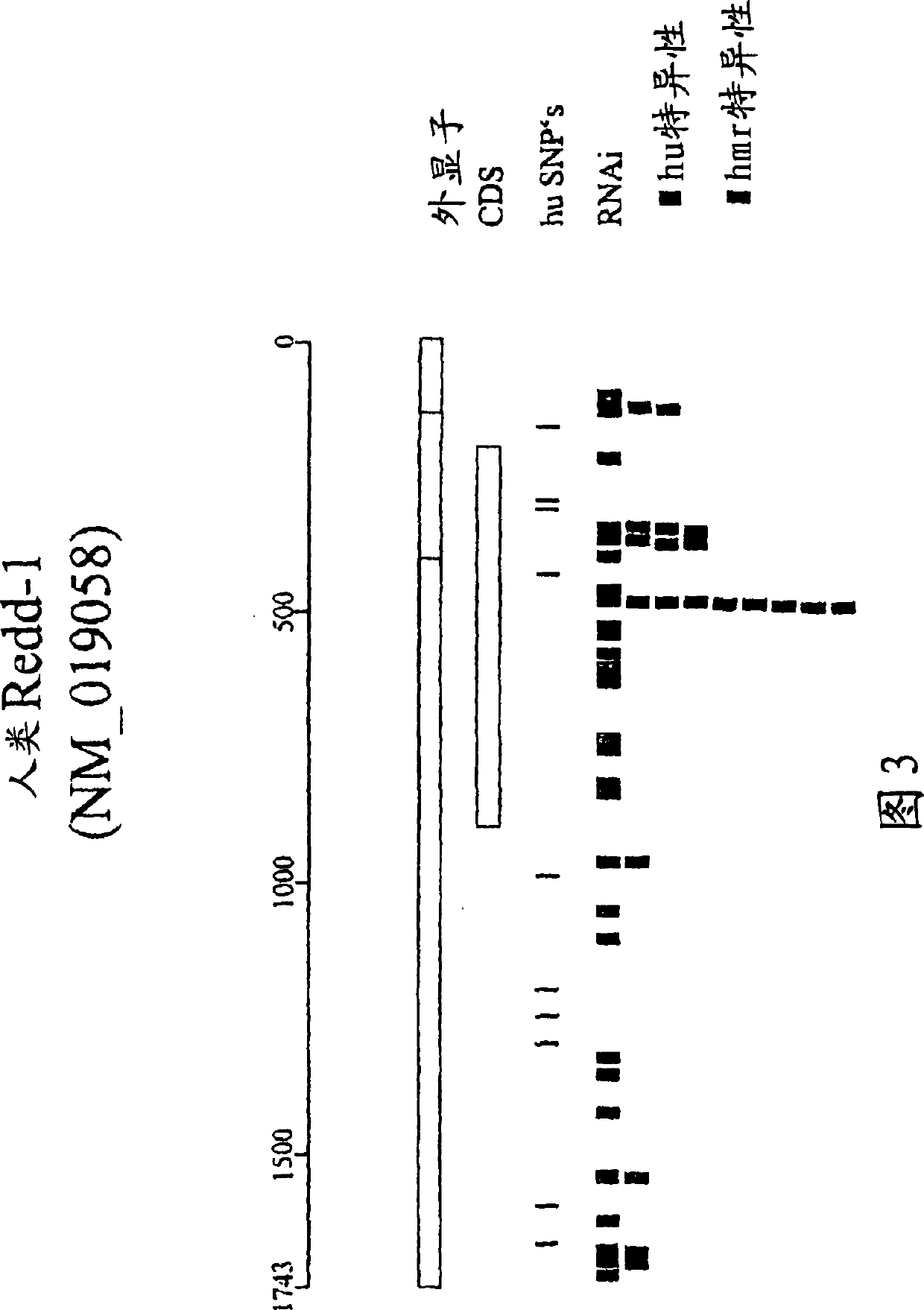 Therapeutic uses of inhibitors of RTP801