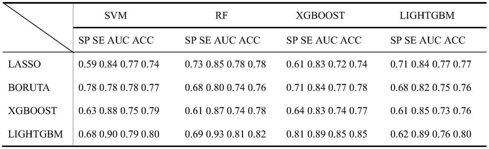 Esophageal varicosity classification system based on LightGBM and feature fusion