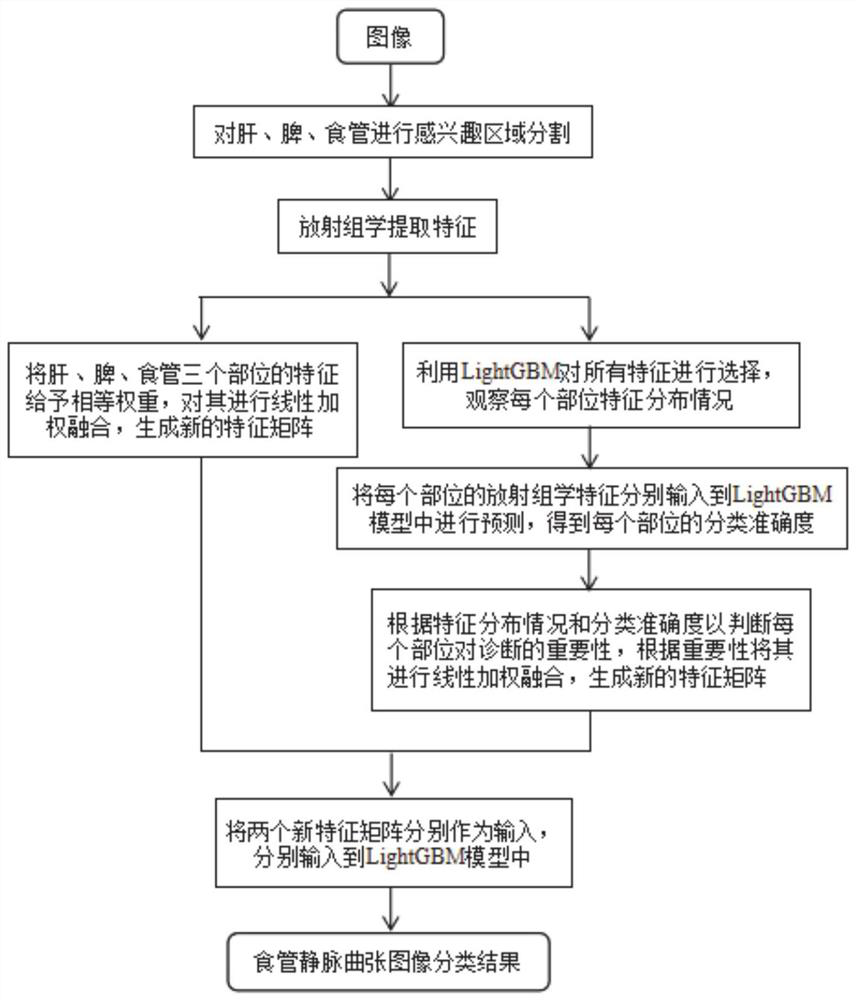 Esophageal varicosity classification system based on LightGBM and feature fusion