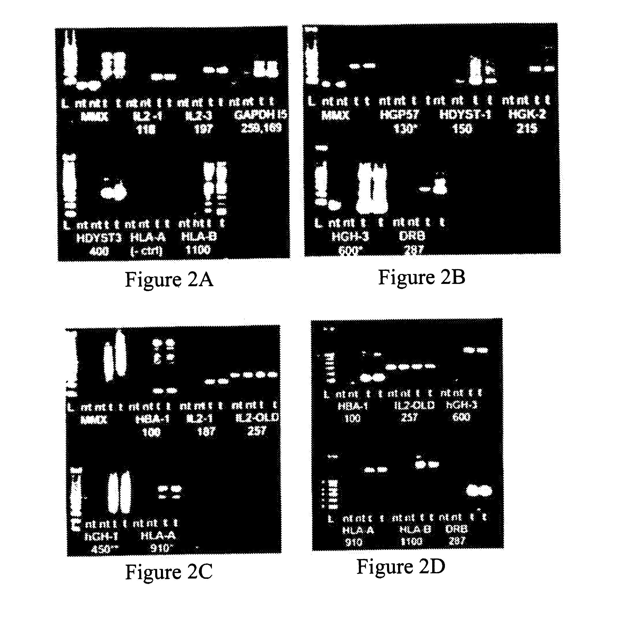 Methods for multiplexing amplification reactions