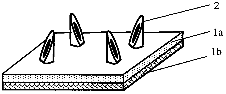 Empty micropin array chip, percutaneous dosing paster, device and manufacture method thereof