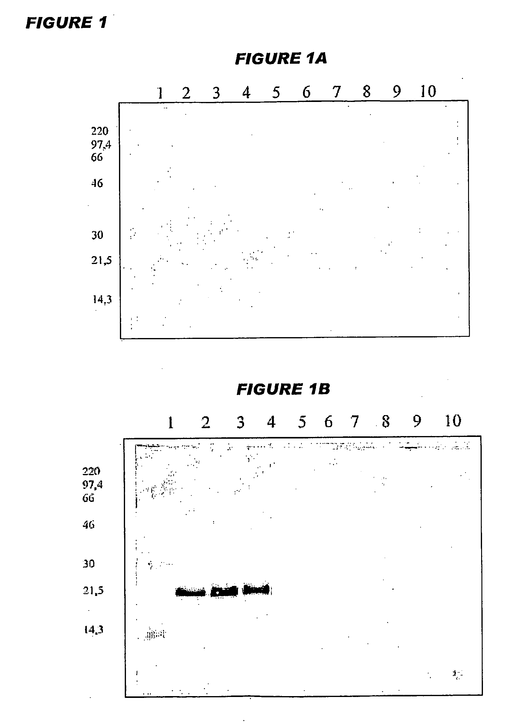 Combination Vaccines With Whole Cell Pertussis Antigen