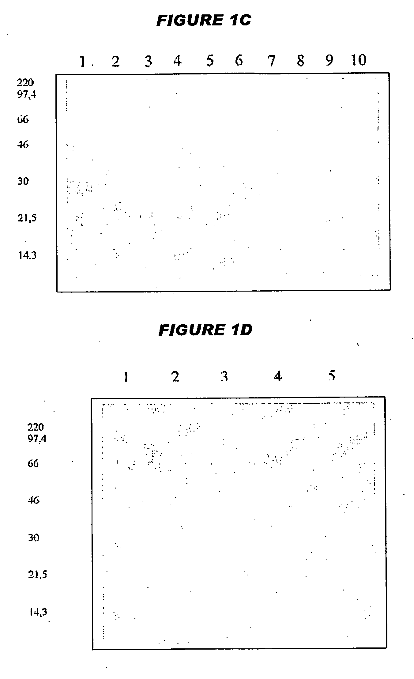 Combination Vaccines With Whole Cell Pertussis Antigen