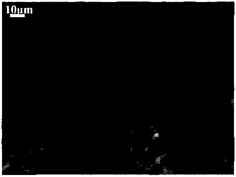 Sodium alginate microcapsule for tumor microwave hyperthermia technology, and preparation method and application thereof