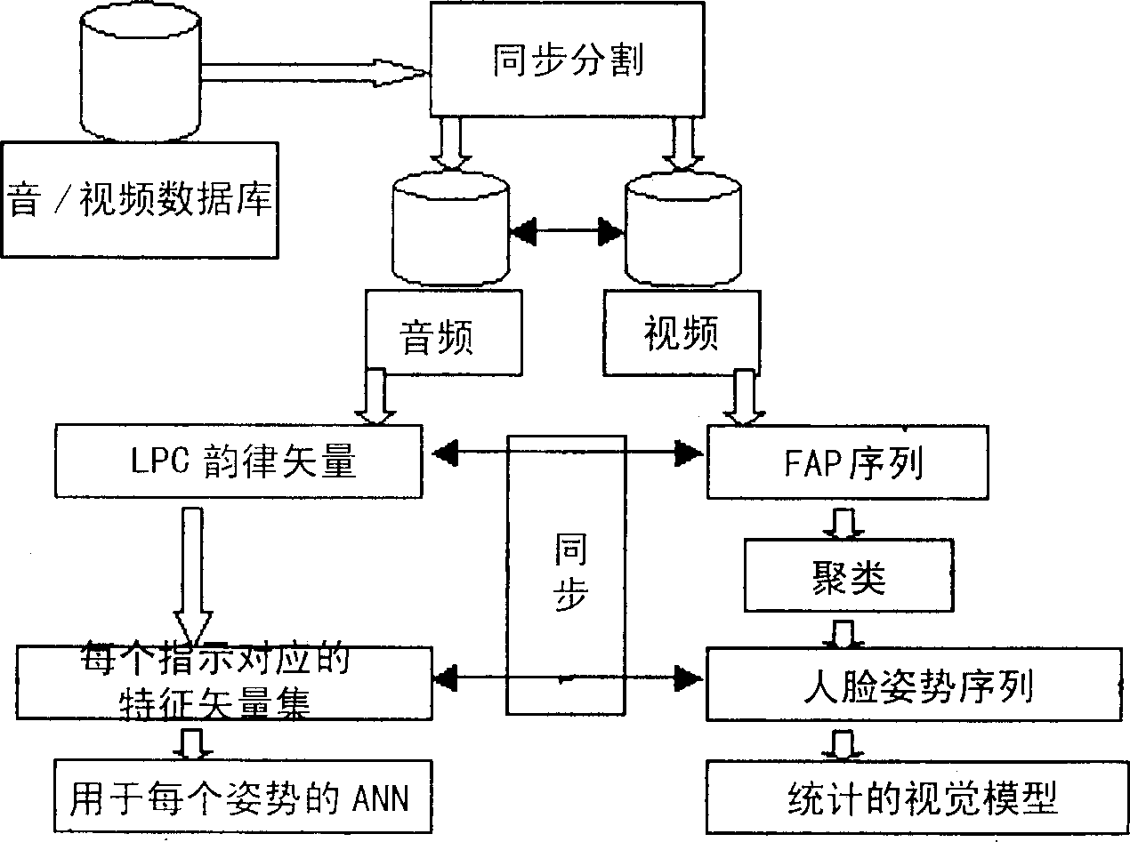 Statistics and rule combination based phonetic driving human face carton method