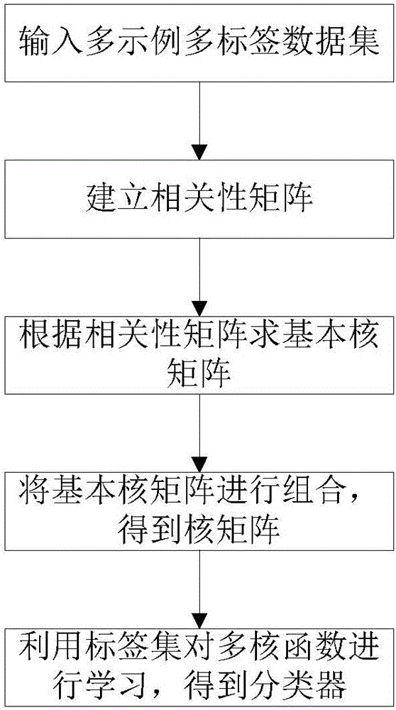 Multi-instance multi-label scene classification method based on multinuclear fusion