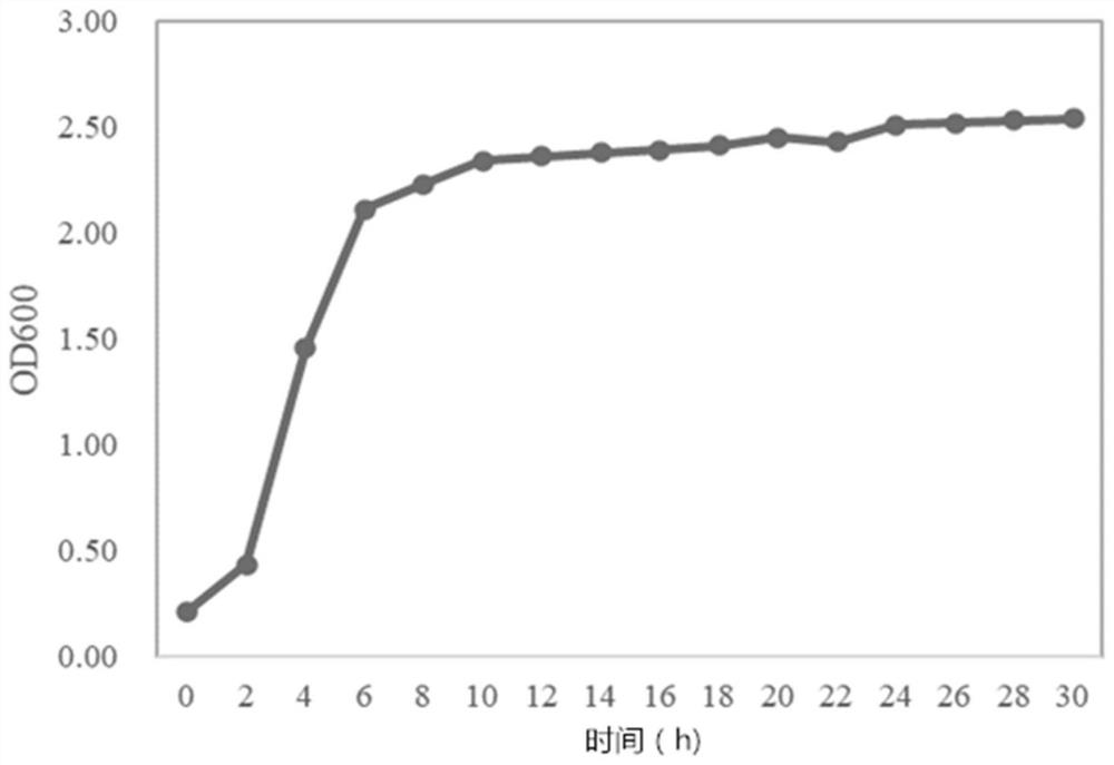 Bacillus subtilis strain and application thereof in aquaculture