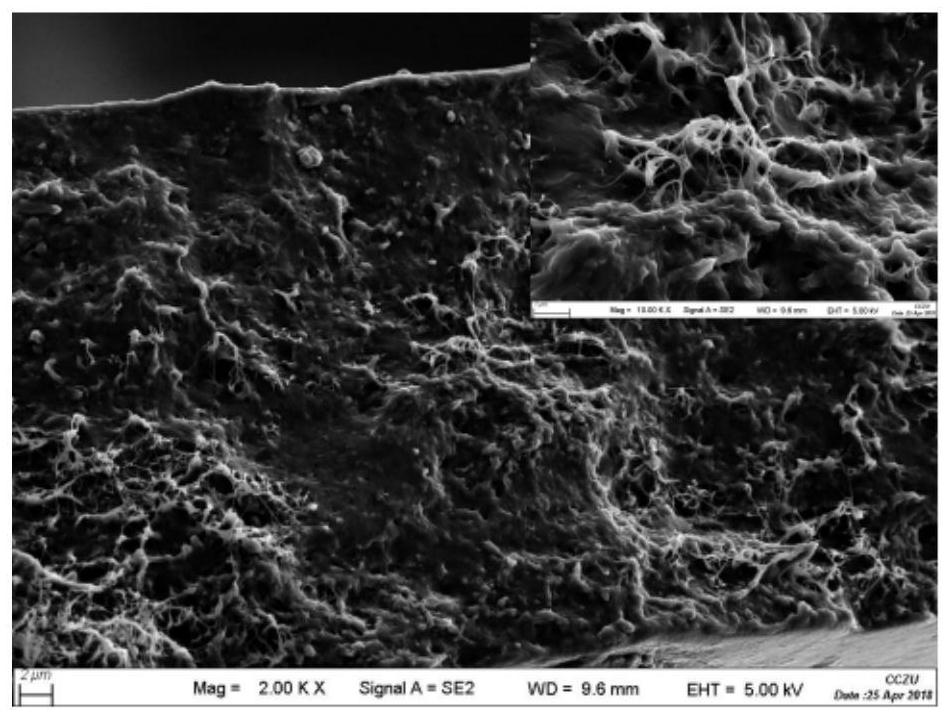 Preparation method of a highly conductive tensile strain responsive material