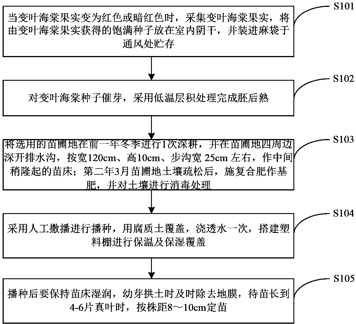 Seedling method for improving emergence rate of malus toringoides seeds