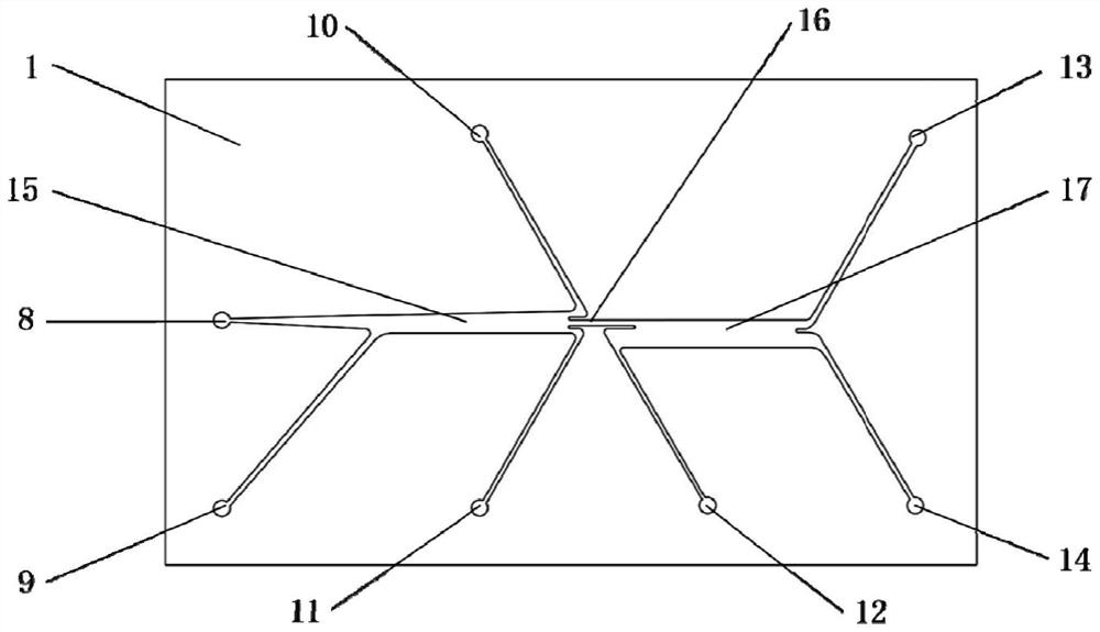 Method and separation device for quickly separating sperms from complex samples of legal medical expert