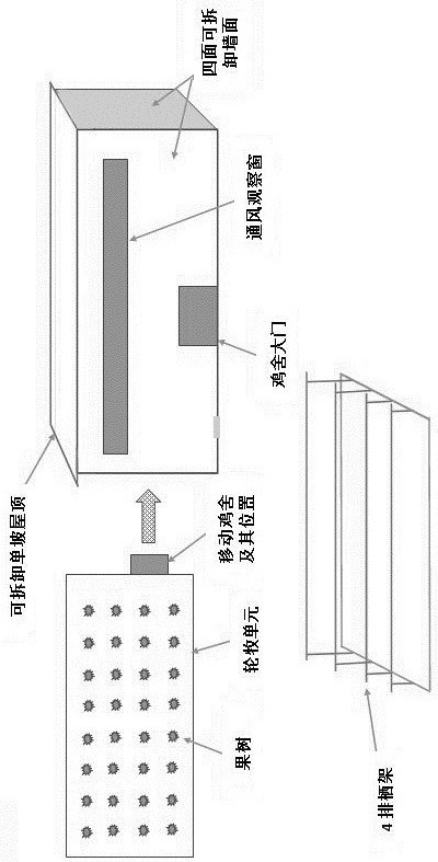 A low-density ecological breeding method for high-quality broiler orchards