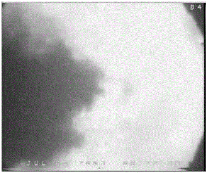 Combustion stability discrimination method based on combustion mixing coefficient and fuzzy recognition