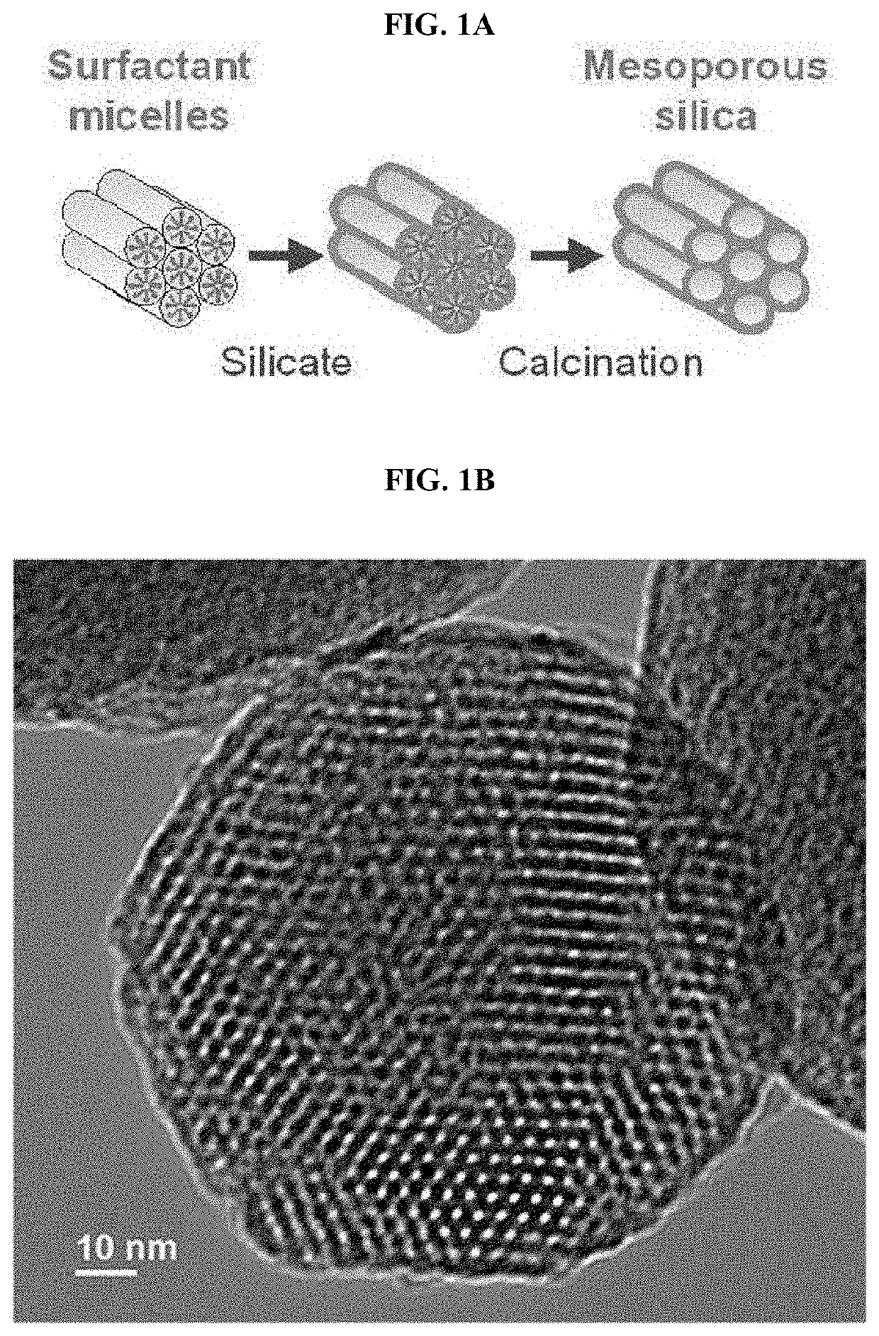 Sorbent and Devices for Capturing, Stabilizing and Recovering Volatile and Semi-volatile Compounds