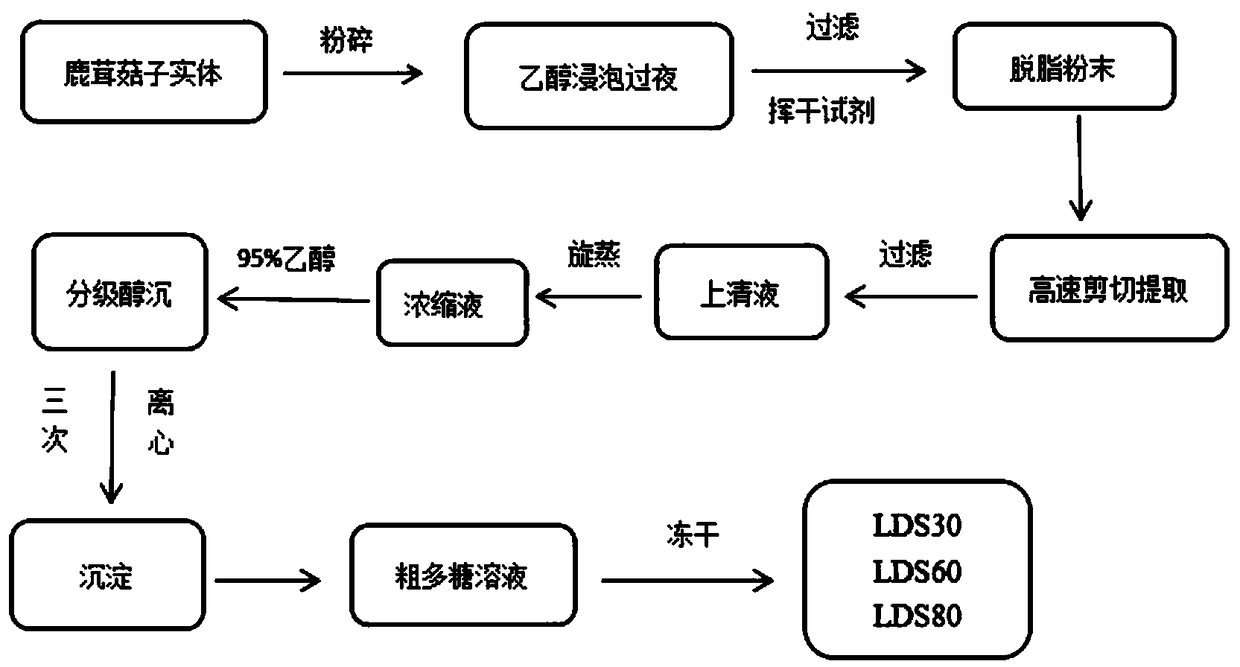 Lyophyllum decastes polysaccharide extract and preparation method and application thereof