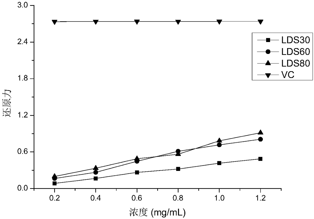 Lyophyllum decastes polysaccharide extract and preparation method and application thereof