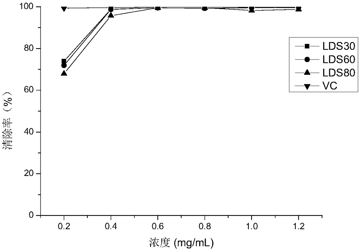 Lyophyllum decastes polysaccharide extract and preparation method and application thereof