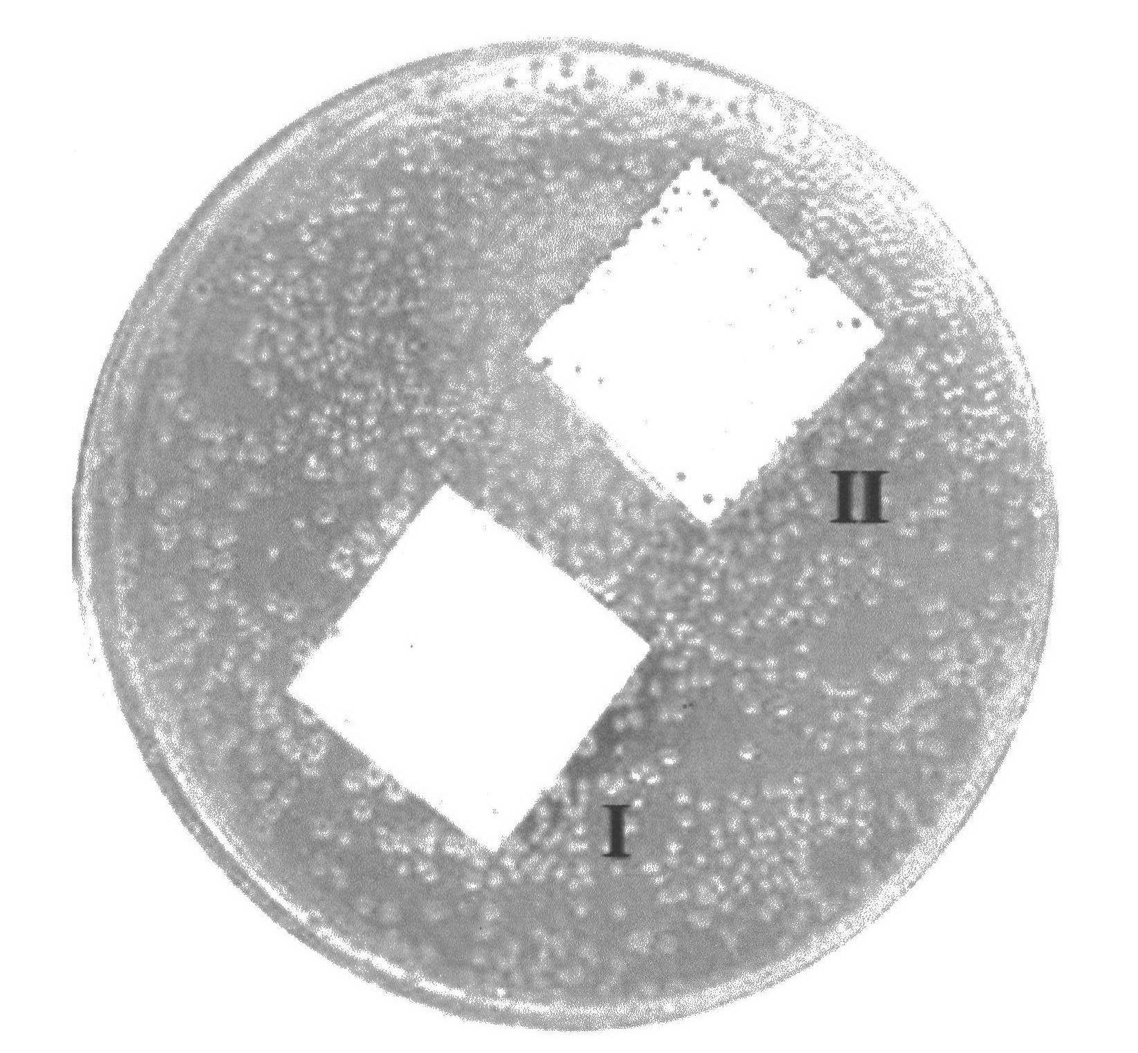 Plating medium-based leather material bacteriostasis effect test method