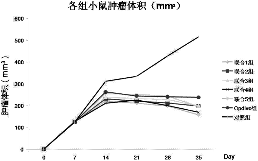 Application of chlorogenic acid and derivative in preparing sensitizer for tumor immunotherapeutic drug