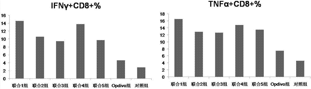 Application of chlorogenic acid and derivative in preparing sensitizer for tumor immunotherapeutic drug