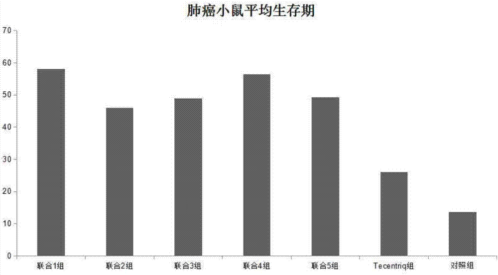 Application of chlorogenic acid and derivative in preparing sensitizer for tumor immunotherapeutic drug