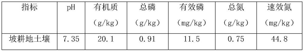 Soil conditioner for controlling soil phosphorus loss and its preparation method and application