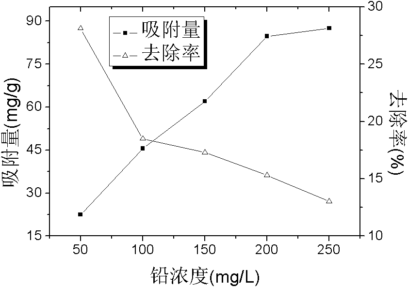 Microbacterium sp.T3 with tolerance on heavy metals and application thereof