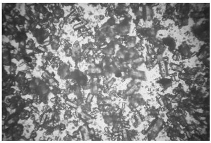 Method of producing wet-process phosphoric acid and alpha-hemihydrate phosphogypsum from middle grade phosphorus ore